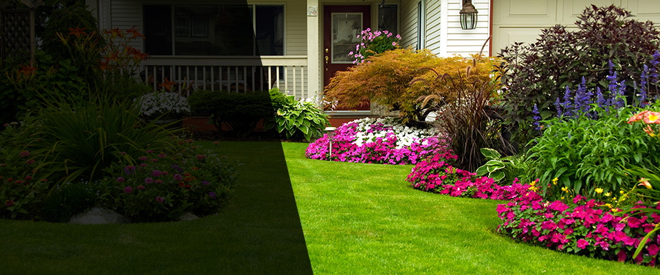 Winthrop Landscapers